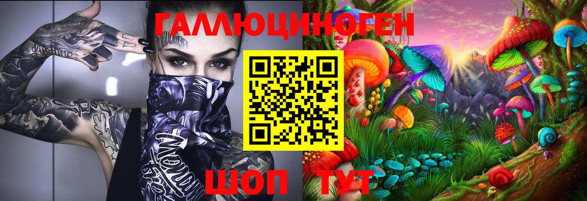 Галлюциногенные грибы Psilocybe Прокопьевск